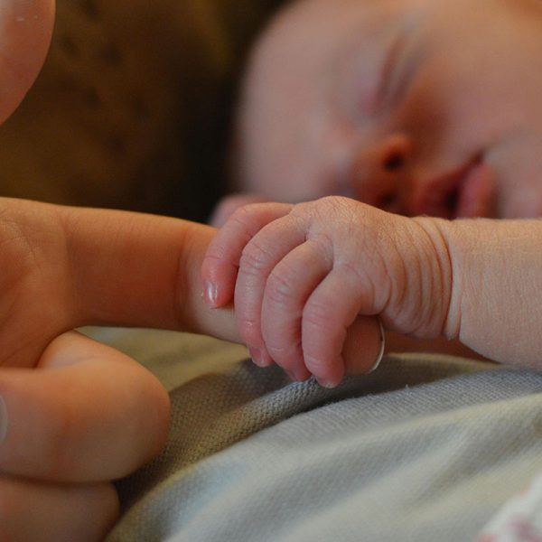 pexels-wayne-evans-62382-225744-Rubber-Ducky-1